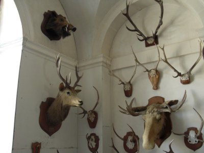 Hunting room